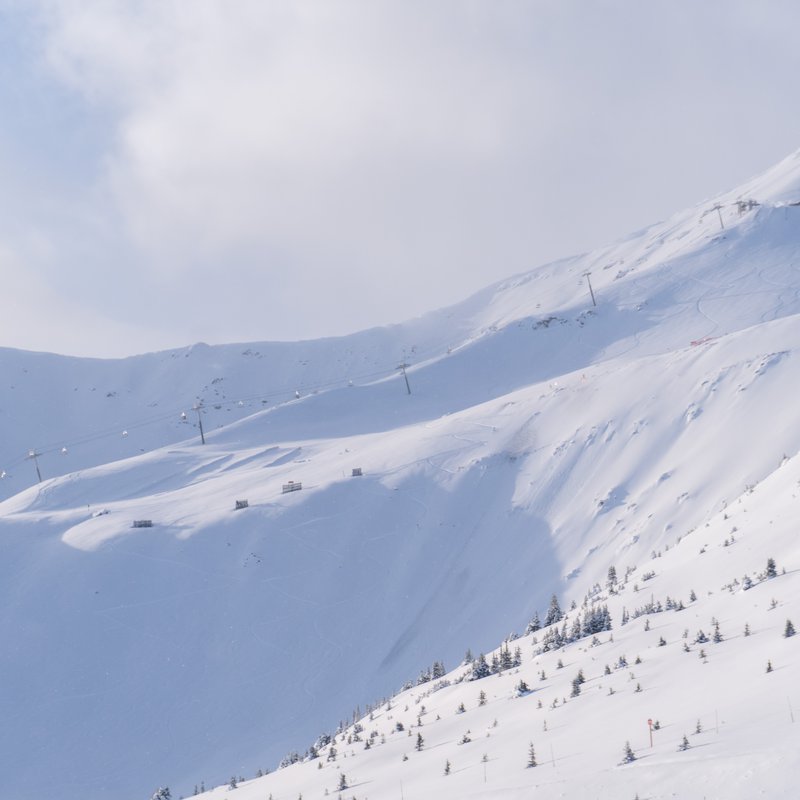 Knob Quad and Tres Hombres open for 2025